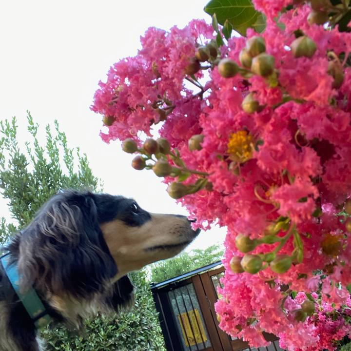 Ed89eb0c 1bb3 4df9 af2e 99c9373dba9c 1691106557364