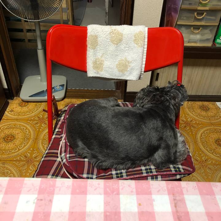 Ed89fea9 32bc 45e7 a948 e49b076ff51f 1633090651293