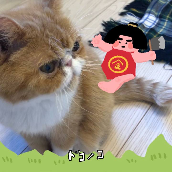 Ed8a396c 7e25 46bd a3c9 81b2cd3d3afe 1779577737667