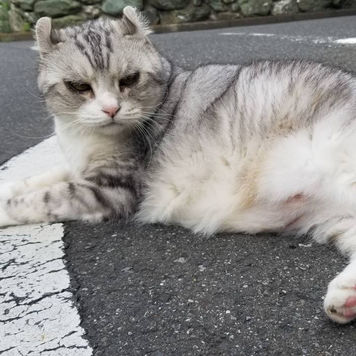 Ed8a54aa aaa4 4924 8988 ecece2bb870f 1593488792822