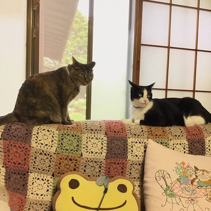 Ed8a65cb 42ca 4b89 bb12 9c59f4b0aeb5 1752752823872