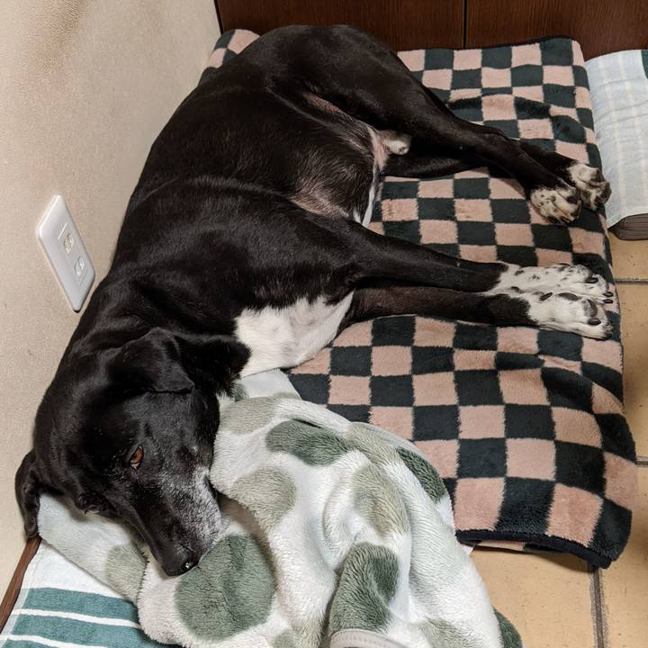 Ed8a7a1c 0d76 46cd 9522 6b595eca8436 1709636971611