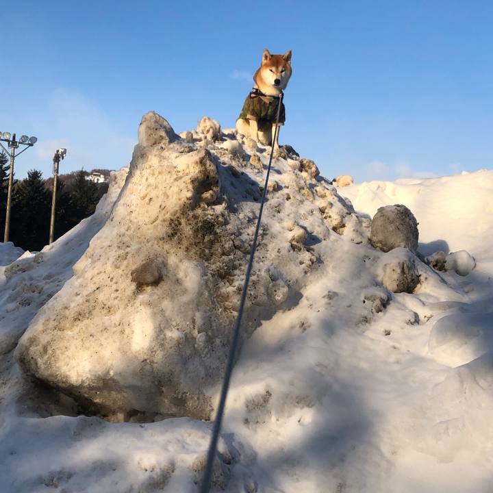 Ed8aa90c 83e9 4bbf a753 64cd7be8fda9 1549333228692