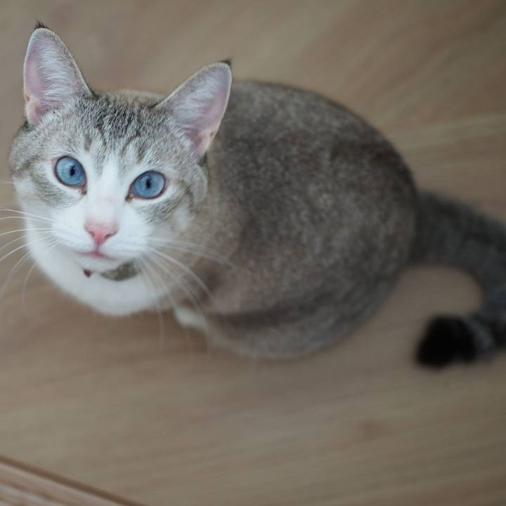 Ed8aaf05 7e90 46f4 a7d9 7ada51525fcc 1568785958370