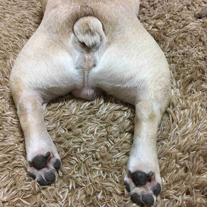 Ed8b1996 e889 41d0 ab7c 888d3dc92f86 1511442168737