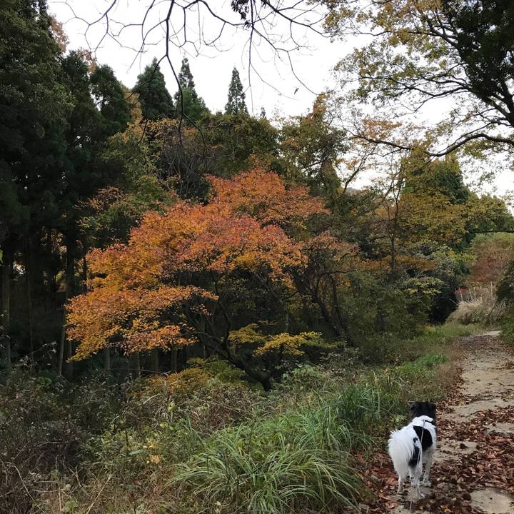 Ed8b1ea1 7a9a 43d5 b89a 7c20fcca24b8 1510826555431