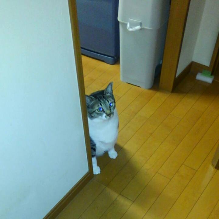 Ed8b1f4a 4e44 4c61 9f39 73419f56310f 1509682860272