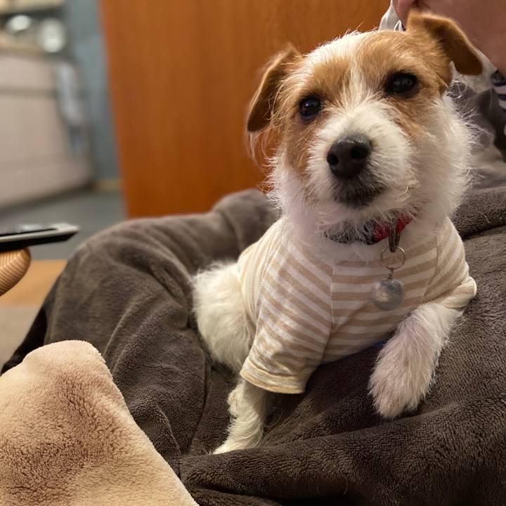 Ed8b494a ef18 4763 8a7b 0a04215436cb 1582633158633