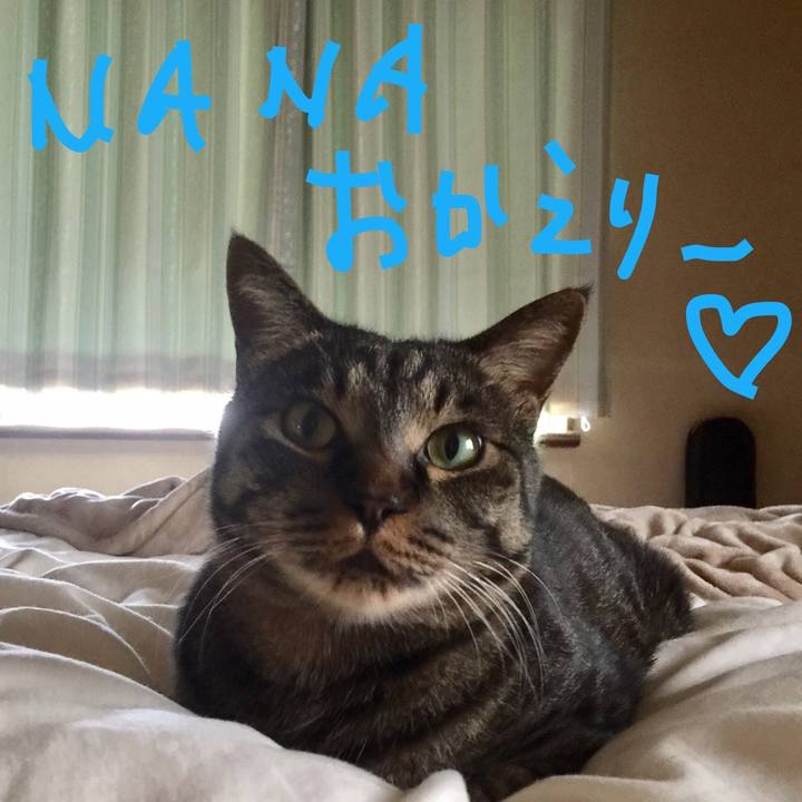 Ed8b7ca2 595c 4ee1 ab75 e22ce91da549 1536841806295