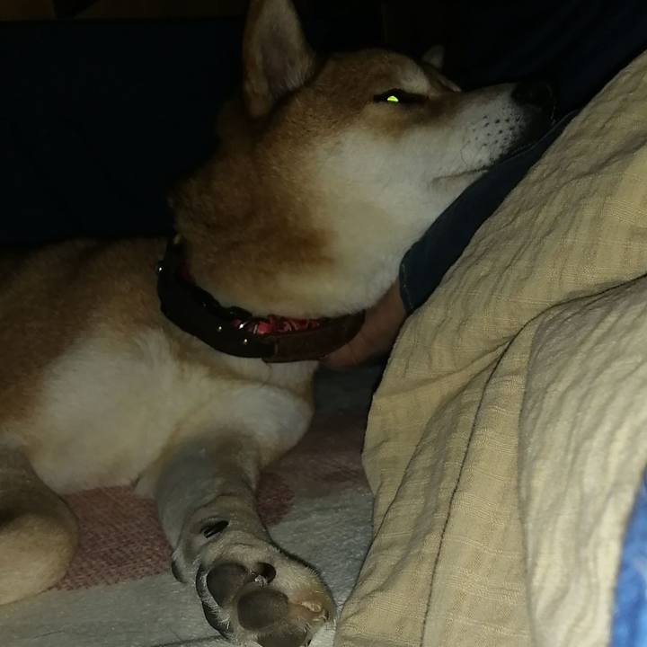 Ed8b9158 c1b5 4543 899b da7e24e3afec 1640944693373