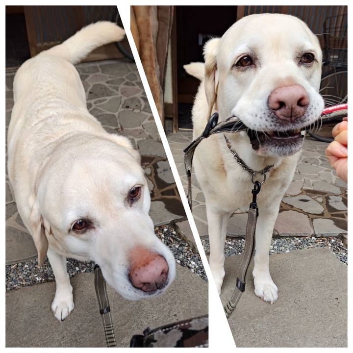 Ed8ba70c 53a1 4fc8 a3ff 55bc858c3ade 1742380859621