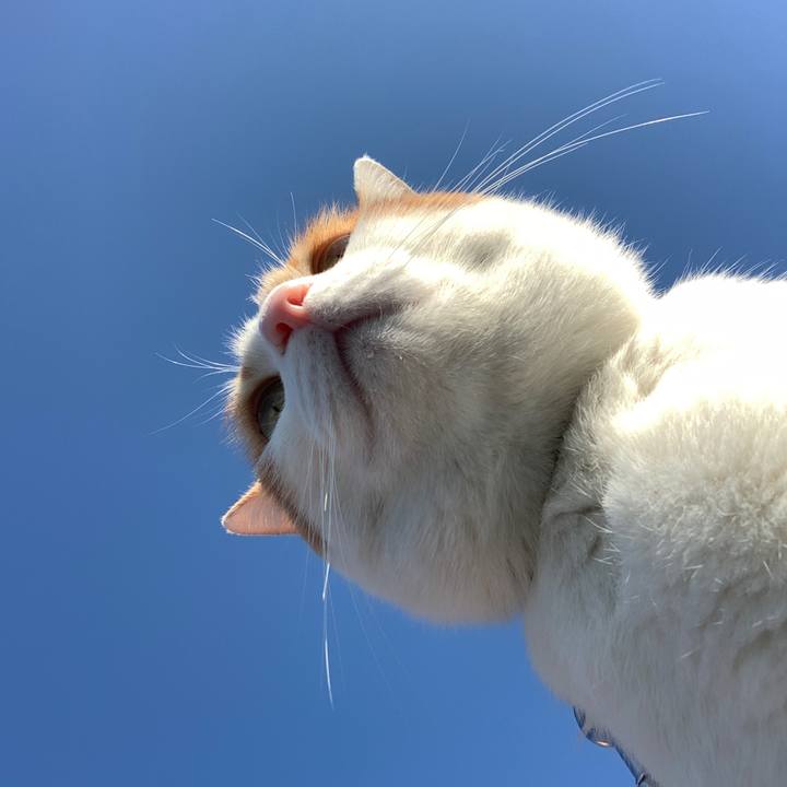 Ed8bd2fc 6b3f 47cd 8f60 7176712bdc16 1577580860737