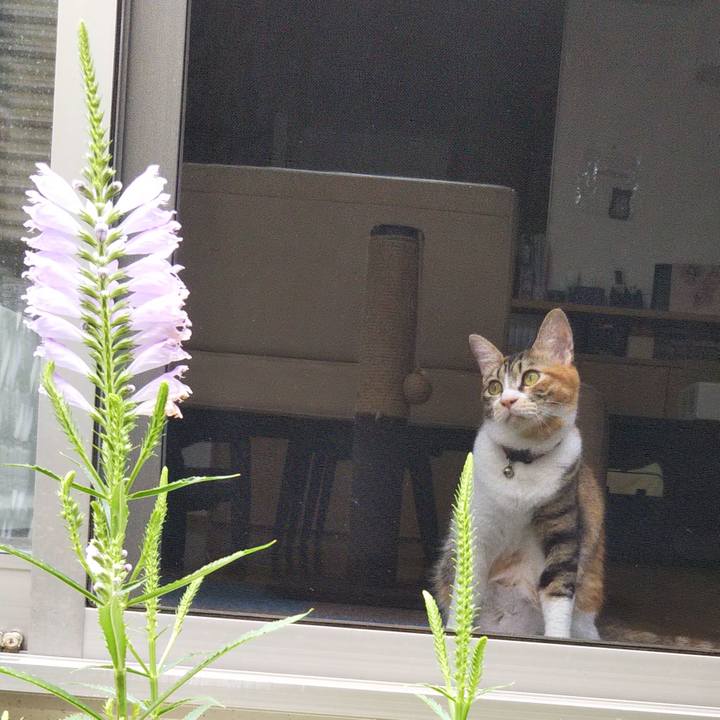 Ed8c3a42 0748 40b3 b032 82b1e3eb986c 1662176601164