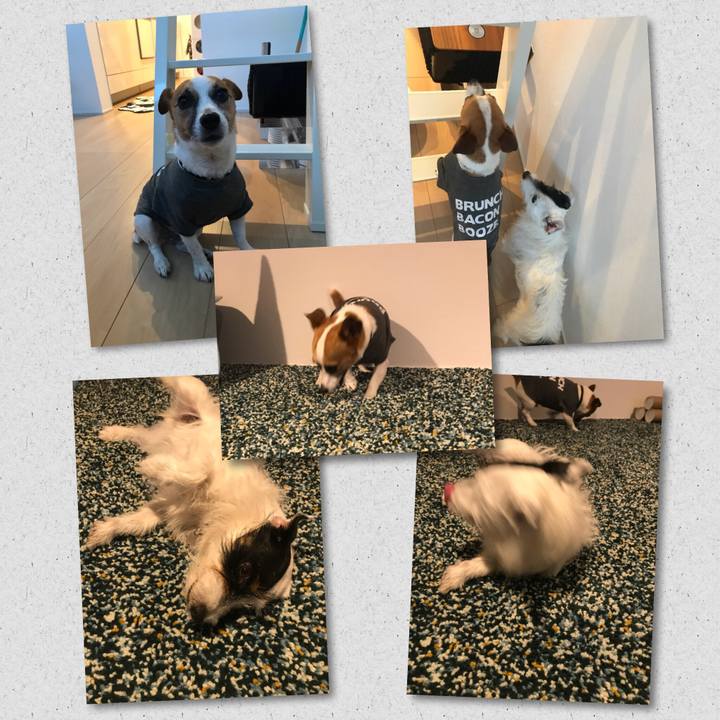 Ed8c7fdf 60fd 47b0 a3c1 a334a39c7cf1 1532339745454