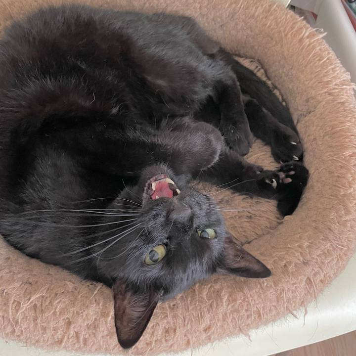 Ed8c8095 6a04 47a4 be2b afd80811fa07 1719111221300