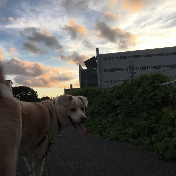 Ed8c8ce8 4006 4c35 901a 860cfca3410f 1532180229972