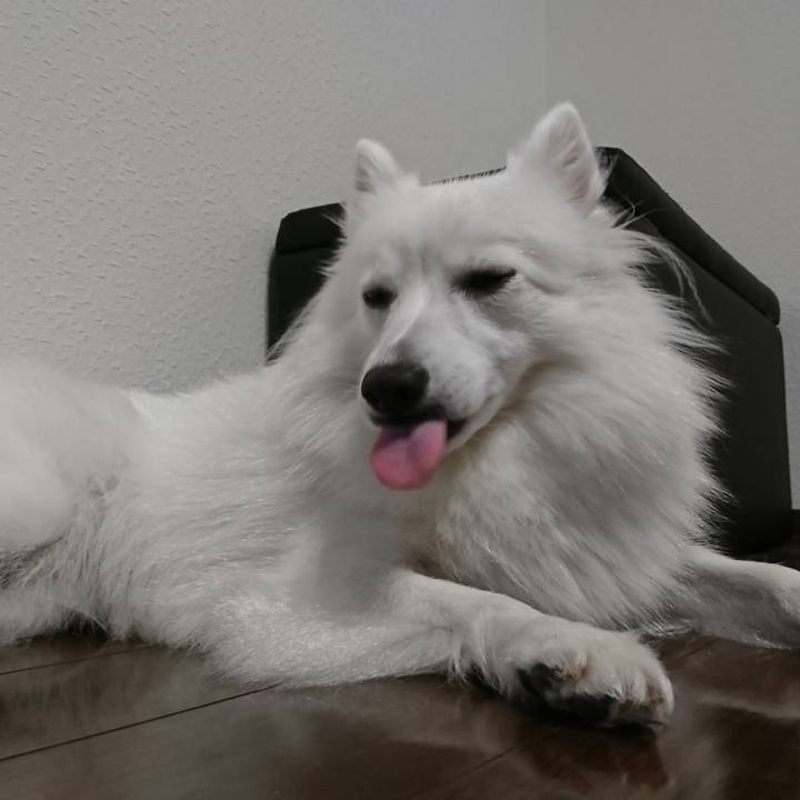 Ed8c8fcd c8e0 492a 8f28 a3a407a70b76 1535987386572