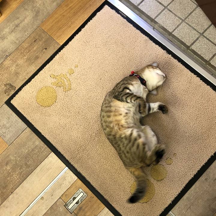 Ed8cbcb1 27d6 4844 bc37 25663417833f 1618990825999