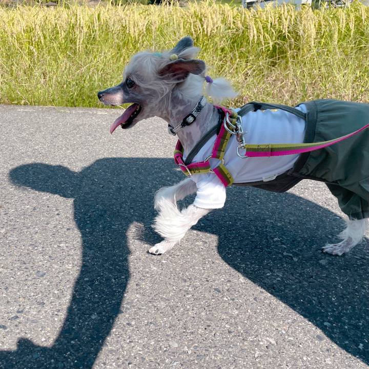 Ed8cc7d6 c243 46d4 a3a8 72a164fa9b15 1759724695222