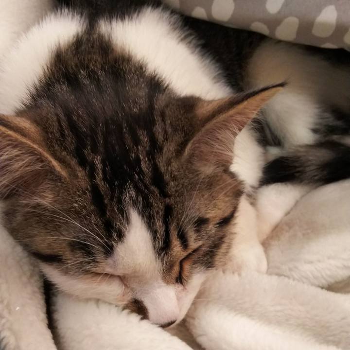 Ed8cd261 be74 4bbf bfdd 74c55a0fc012 1614941420645