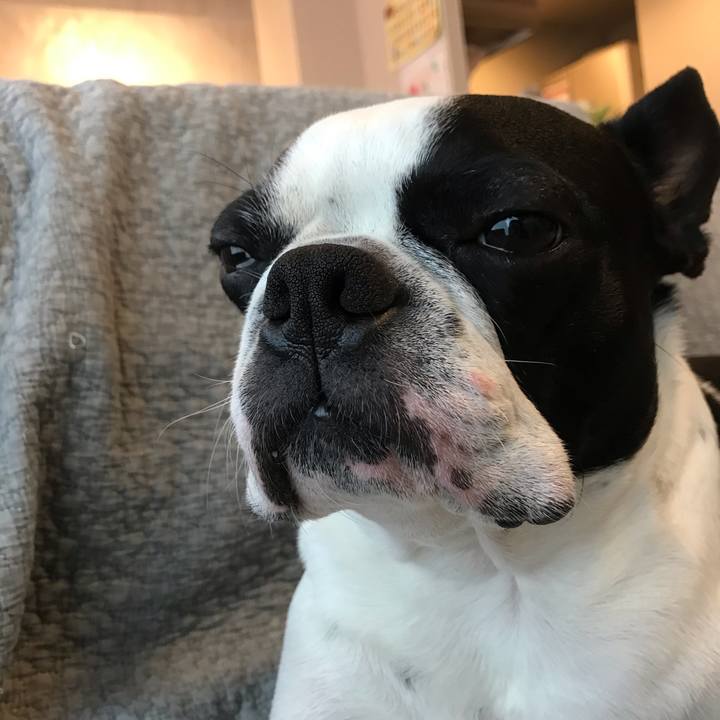 Ed8cdb09 e729 4c43 94fe 3680da58b7e3 1601280012512