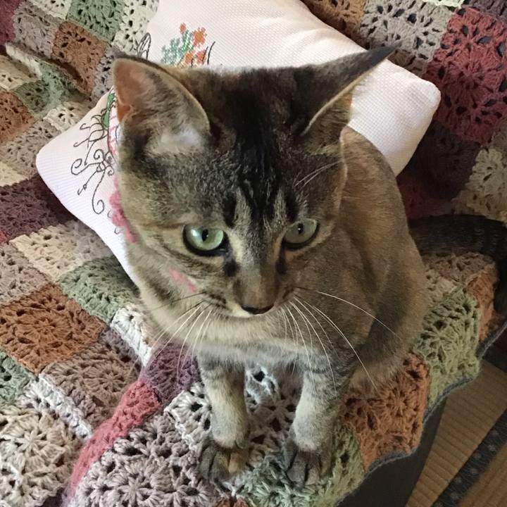 Ed8d30d6 4753 46d5 8f08 07b0ae6dc809 1592375107066