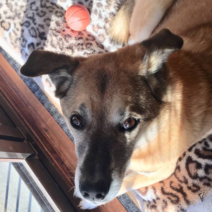 Ed8d47b3 2b24 43bc 8153 02630112c0c2 1516752220104