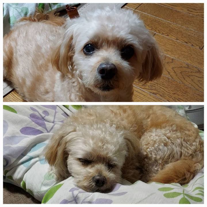 Ed8d5e8e d890 4ce3 9d8b d78db32ad715 1727945441178