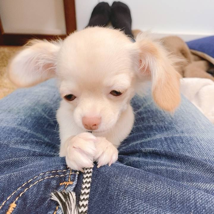 Ed8d85e5 838b 44e8 9bf9 a859869ec6d6 1593127551318