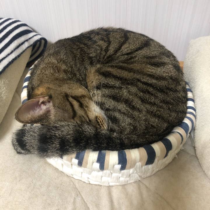 Ed8d881d fe9c 4349 a2ea ae1e2bce58e4 1573226457763