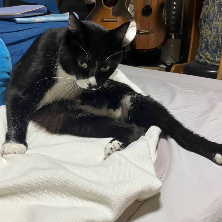 Ed8d8fba 1ed1 4ffa b851 239acf30d53a 1729488979629