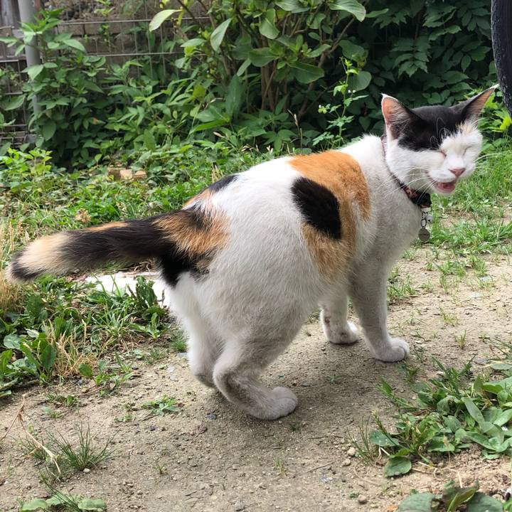 Ed8dab4d 5446 4ec6 ab1a 023018fba138 1625628267580