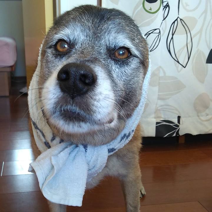 Ed8db2cb b21d 41b5 93c4 66f7a56118d8 1548292424912