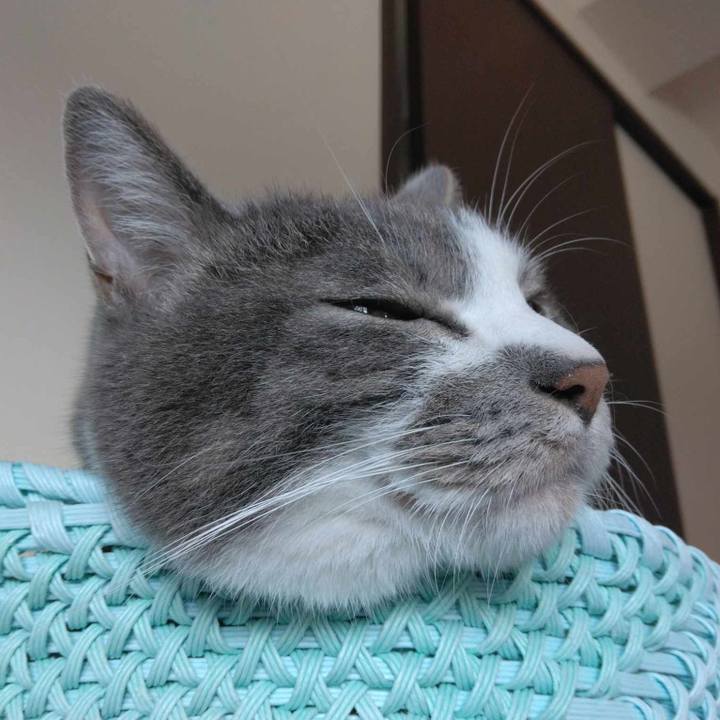 Ed8de38c 6c3b 46d3 855c ecceb2b2812f 1722515034638