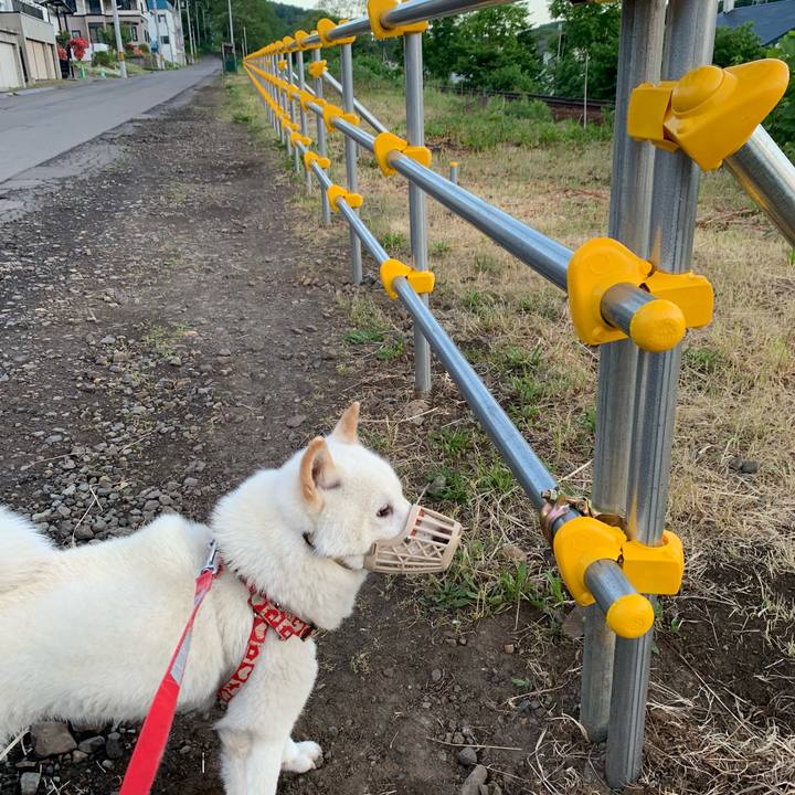 Ed8debd3 6e6f 46f9 88b0 d90f840d9bf7 1559507373827