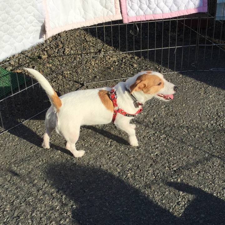 Ed8e04b5 5c33 4f5b 8aca 7cdfa9b94954 1511877864419