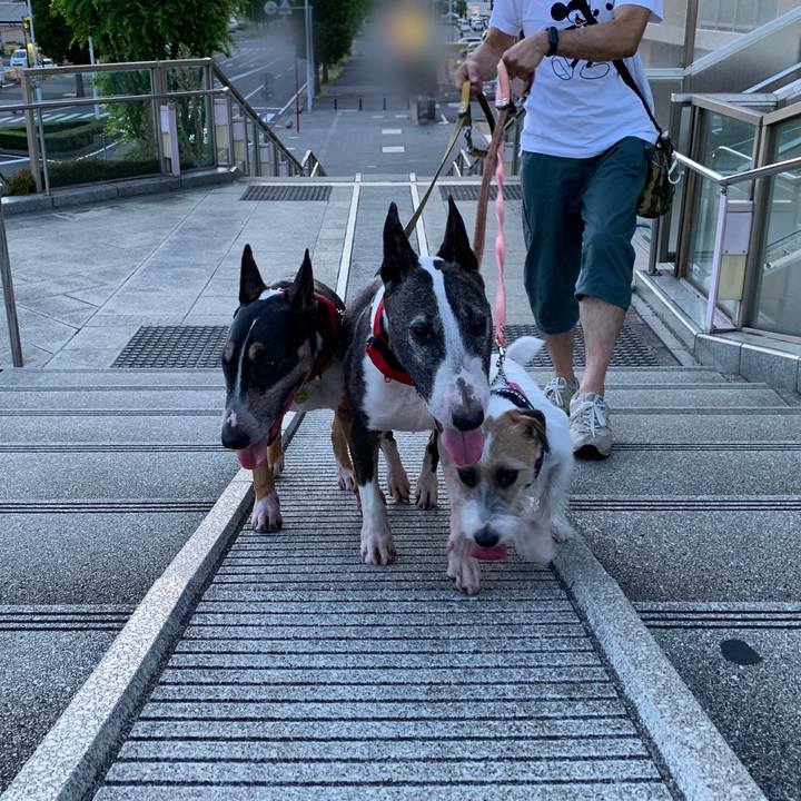 Ed8e2dde ab6b 4bc0 ac4d 2a5ba547fd05 1598795488824