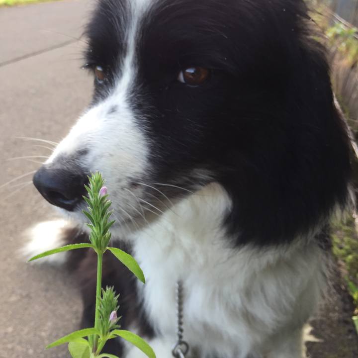 Ed8e348c bfa1 4607 beee c3ffe35c4ee4 1567638758547