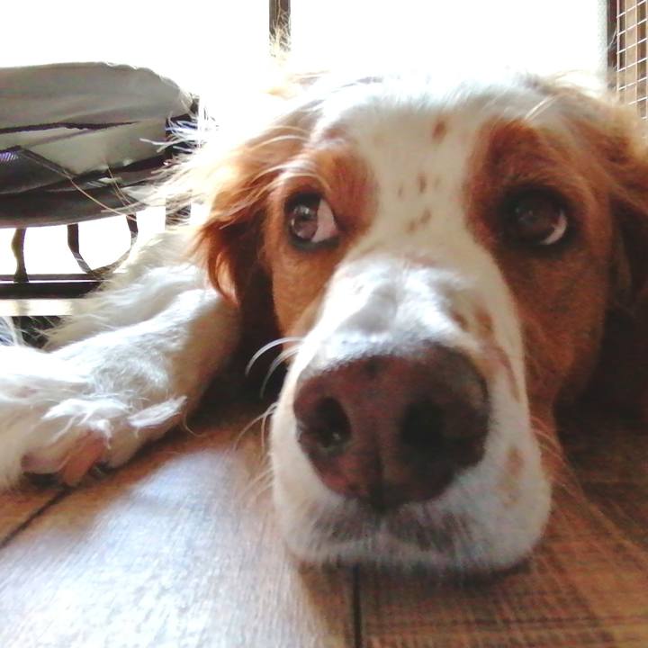 Ed8e545e ab7c 44a0 8fb1 bf5de5091073 1601964515065