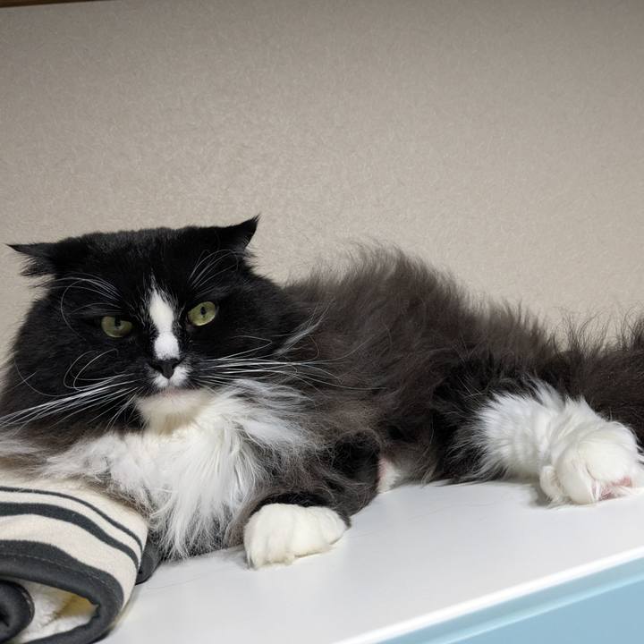 Ed8e5de7 27b3 4355 bf88 3d4fe7367d0e 1737114265553