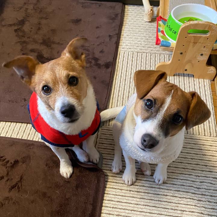 Ed8ecaa8 3d1f 47b9 b320 e3d09c666184 1706745511528