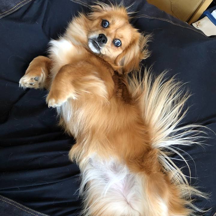 Ed8ece56 8282 4df1 ba7f bbf451cd16b3 1522501799420