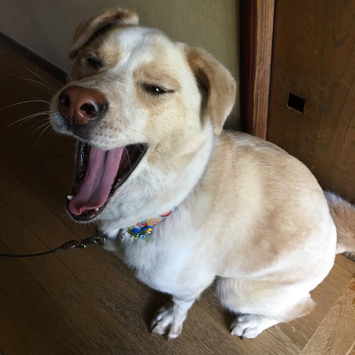 Ed8f016b 0688 4c3e bba4 2c5a0ff7e712 1524370864439