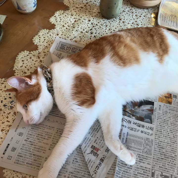 Ed8f34cb a130 4677 a6b5 f44c8f751b5f 1623536590896