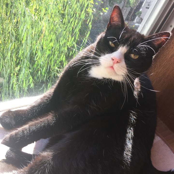 Ed8f5b22 278a 4b58 9b09 c7cb634ea461 1541079129941