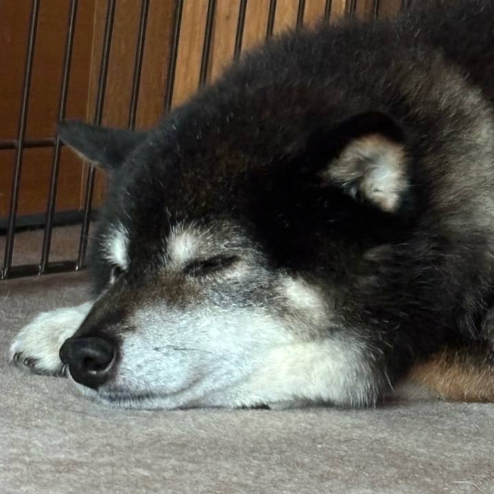 Ed8f7755 6cf7 4981 a7c6 9189c0329798 1754035097777