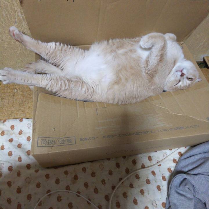 Ed8f7895 edd5 44c3 9dc4 0541b82318c9 1544239086469