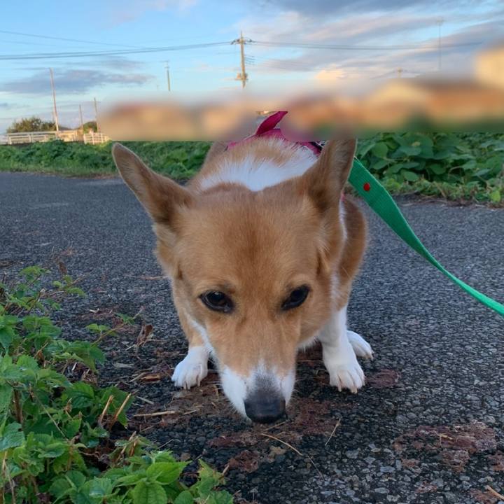 Ed8faa6d 5128 4ffc 81b9 b24b98dc9d29 1628287451046