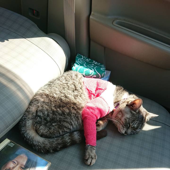 Ed8fab6b 8f64 4b9b a9f9 3aaaa4626bd5 1586671137413