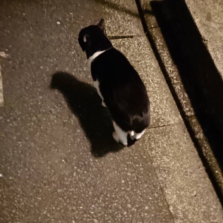 Ed8fac80 4d0e 4ff4 87ed 5b702f849954 1552911014606